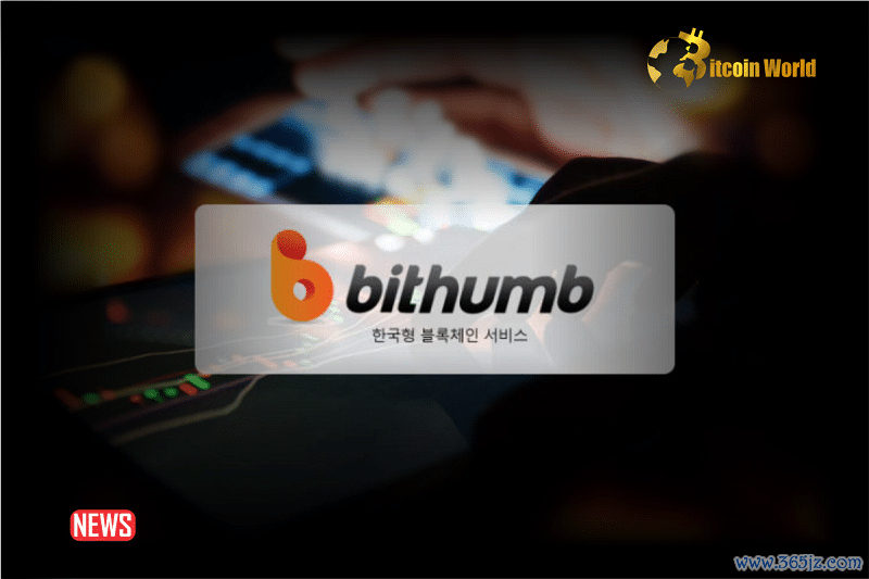 加密货币钱包市场占有率_如何通过tokenim钱包最新版成为加密货币市场的积极参与者，推动数字经济的发展？_加密钱包是什么